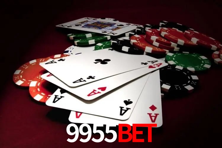 Experiência VIP 9955Bet